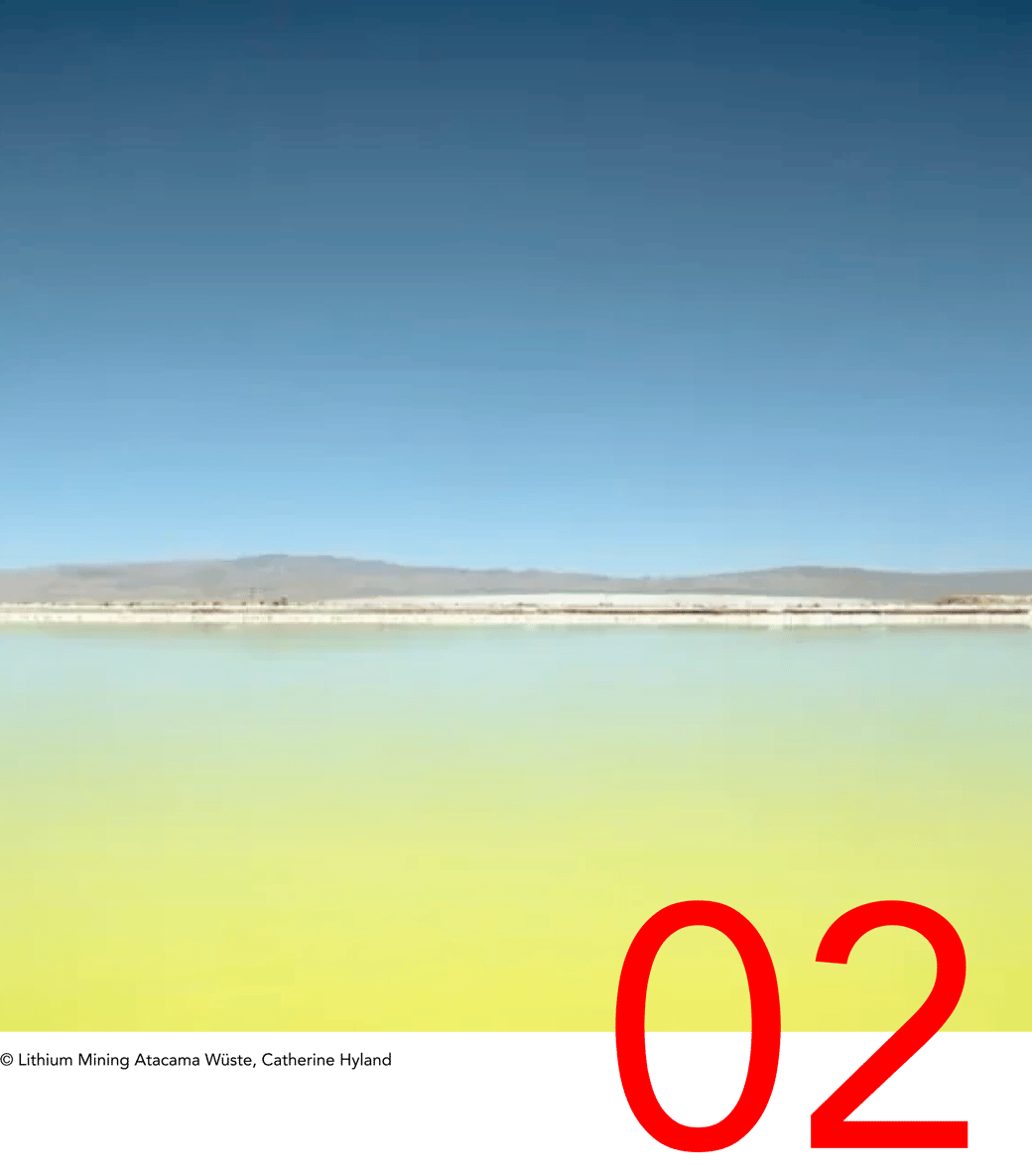 NEWSLETTER  #08_02-3