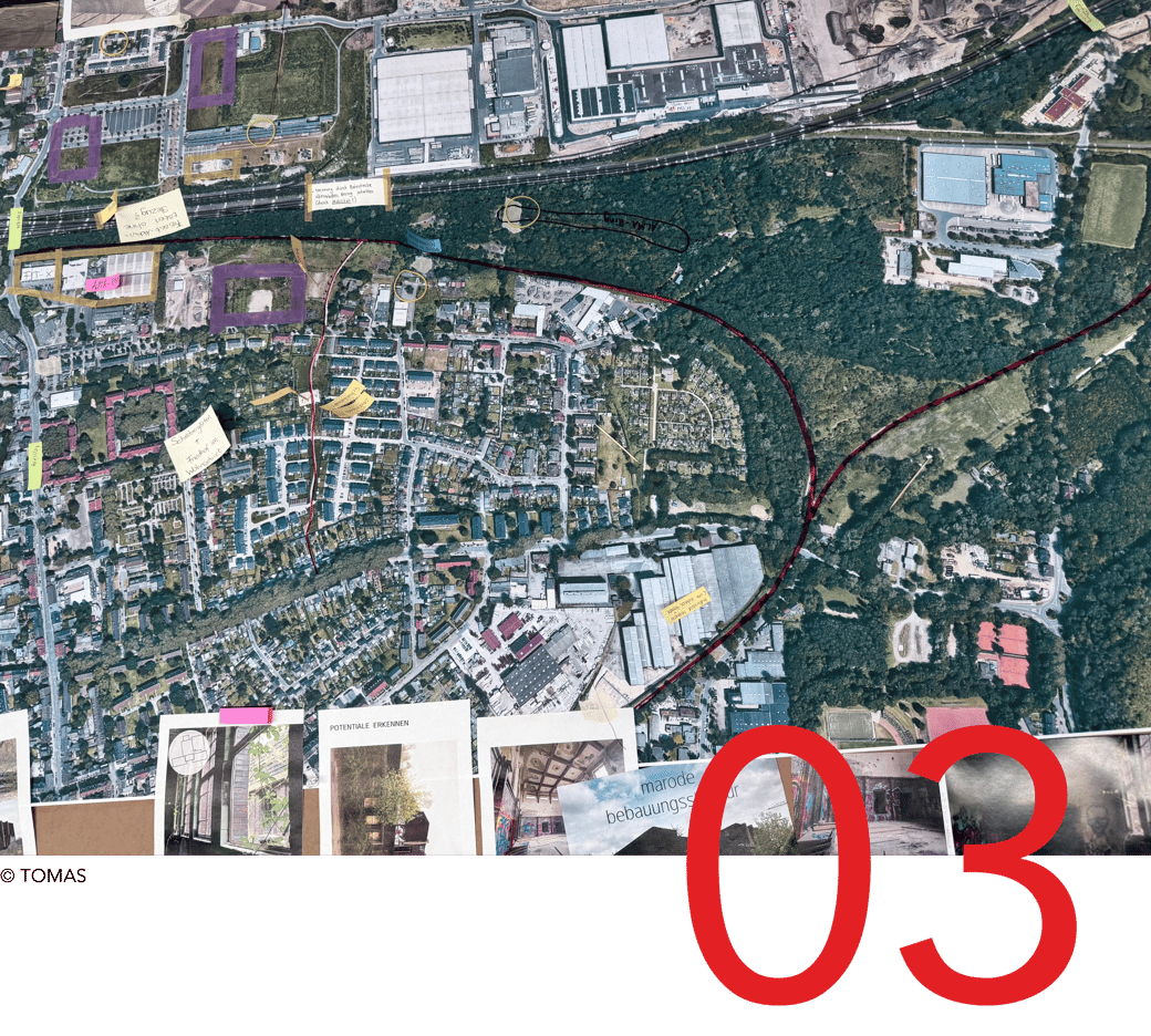 NEWSLETTER  #10_03